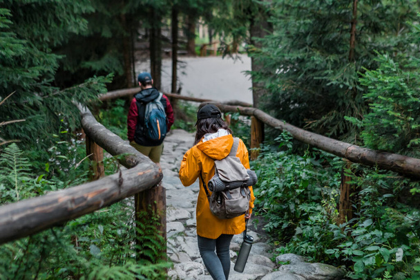wandelaars wandelen door stenen pad in het bos - Foto, afbeelding