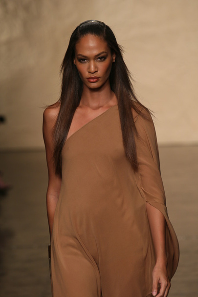 Model walks at the Donna Karan fashion show - Foto, immagini