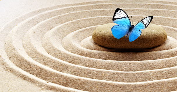 Zenová zahrada meditace kamenné pozadí a motýl s kameny a liniemi v písku pro relaxační rovnováhu a harmonii spirituality nebo wellness - Fotografie, Obrázek