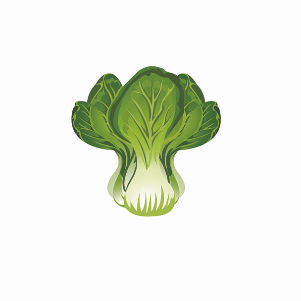 Lechuga verde - Imagen vectorial de dibujos animados
 - Vector, imagen