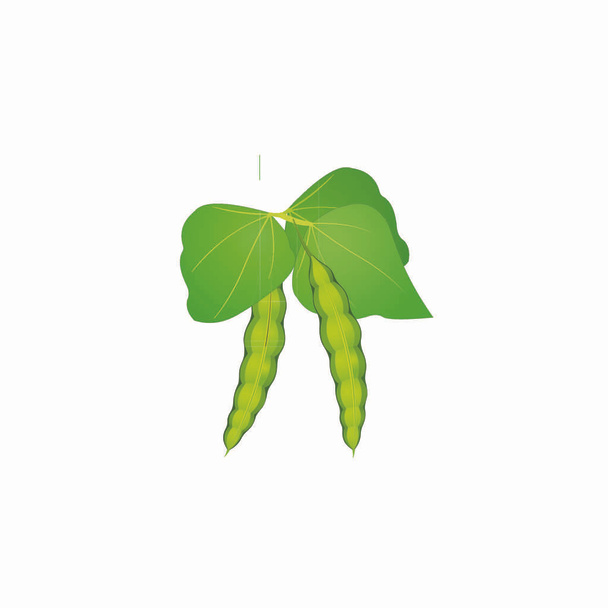 Green Bean - Cartoon Vector Image - Вектор,изображение
