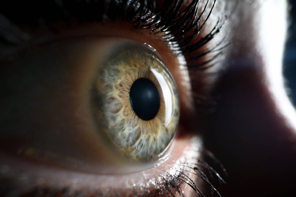 Human green eye supermacro closeup background - Фото, изображение