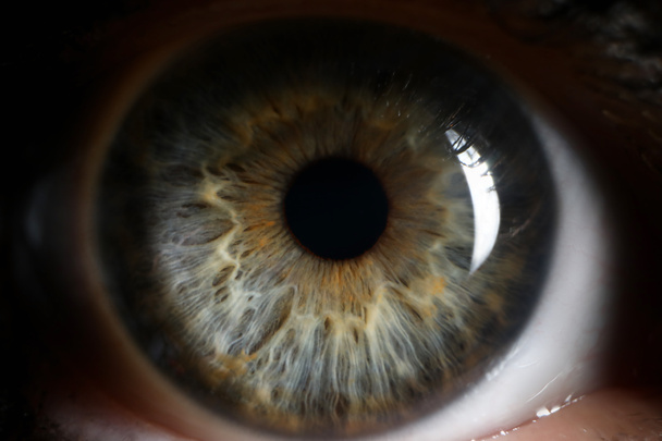 Ανθρώπινο πράσινο μάτι supermacro closeup φόντο - Φωτογραφία, εικόνα