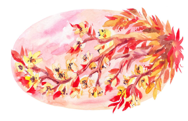 Watercolor sakura on pink sky background. Oval illustration in o - Photo, image