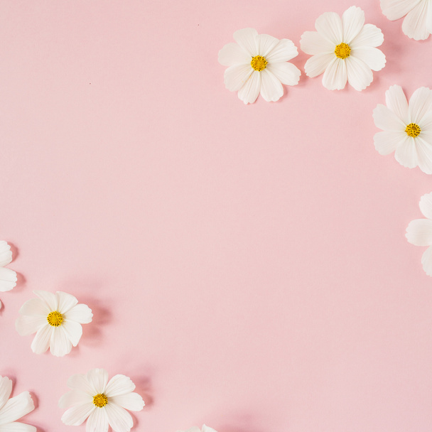 Una bella camomilla bianca, fiori di margherita su sfondo rosa pallido. Vacanza, matrimonio, compleanno, concetto di anniversario. Posa piatta, vista dall'alto copiare spazio. Concetto minimo. - Foto, immagini