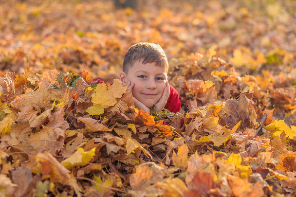 niño se escondió en el follaje amarillo otoño caído en el parque
 - Foto, imagen