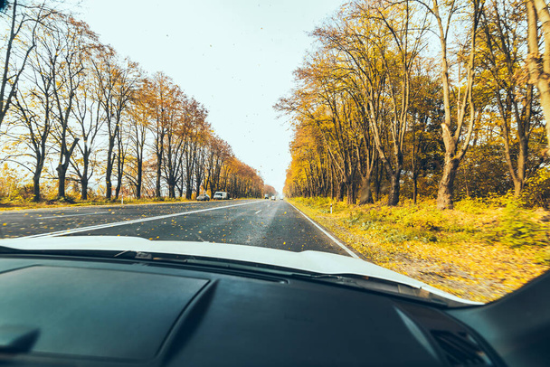 autunno auto concetto di viaggio alberi con foglie gialle
 - Foto, immagini