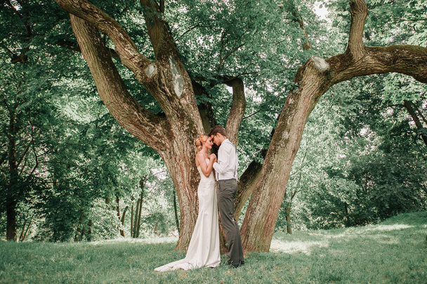 happy newlyweds kiss near a large spreading tree - Fotoğraf, Görsel