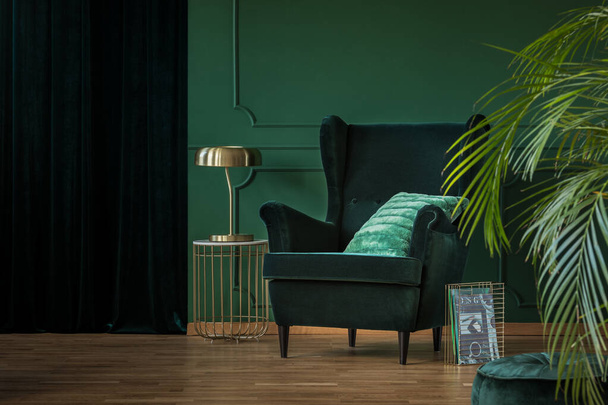 Green velvet armchair in luxury living room - Fotografie, Obrázek