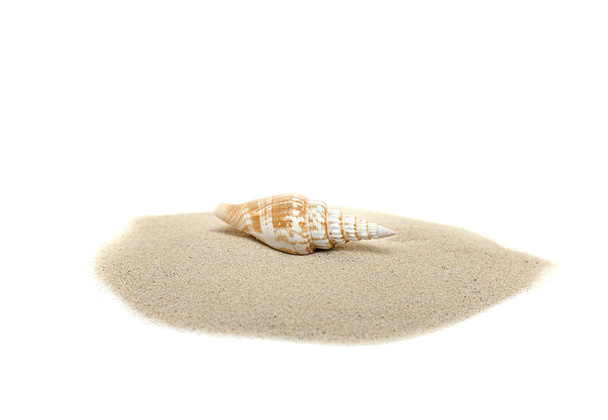 White Sand and Shell, pile of Sand with Seashell isolated on white Background, top View for Designers Ideas - Foto, Bild
