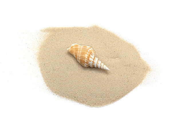 Arena blanca y concha, pila de arena con concha aislada sobre fondo blanco, vista superior para diseñadores Ideas
 - Foto, imagen