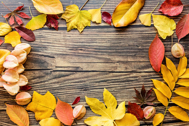 茶色の木の背景に黄色と赤の葉。季節構成、秋、感謝祭、ハーバリウムの概念。モックアップテンプレートオーバーヘッド - 写真・画像