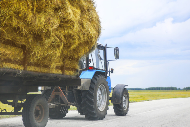 tractor transports haystack - Фото, изображение