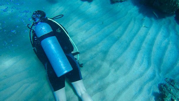Potápění vzduchovým balónem v červeném moři. Instruktore. Dívka a cor - Fotografie, Obrázek