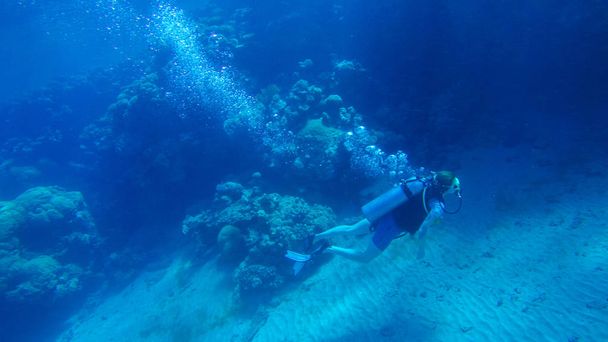 Diving with air balloon in the red sea. Instructor. Girl and cor - Photo, Image