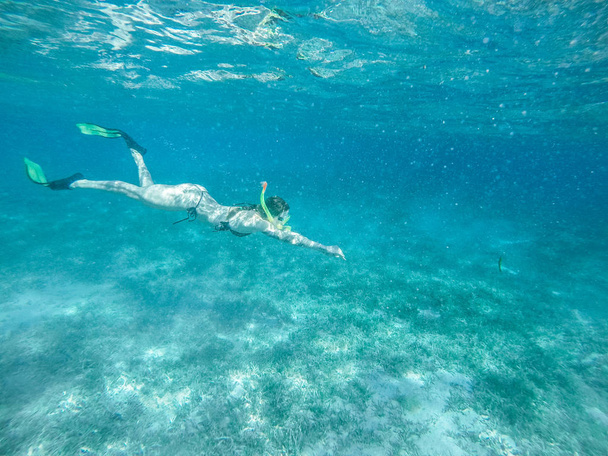 Diving in the red sea. Sexy girl in bikini and mask. Snorkeling. - Photo, Image