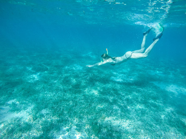 Buceo en el mar rojo. Chica sexy en bikini y máscara. Snorkel
. - Foto, Imagen