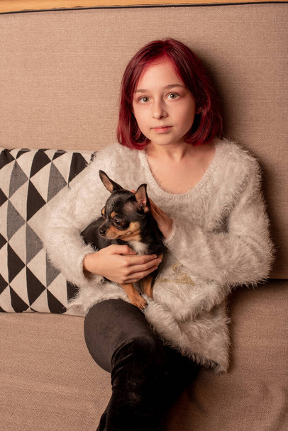 tiener meisje met haar favoriete hond is een chihuahua zitten op de bank - Foto, afbeelding