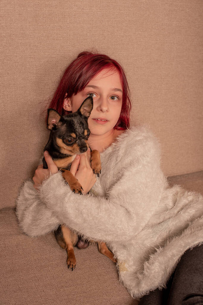 nastolatka dziewczyna z jej ulubionym psem to Chihuahua siedzi na kanapie - Zdjęcie, obraz
