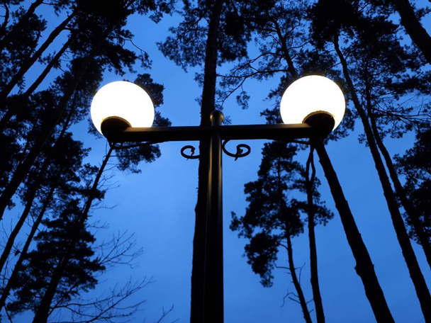 lanterne de gros plan dans la soirée dans le parc
 - Photo, image