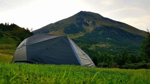 Палатка среди зеленого луга
 - Фото, изображение