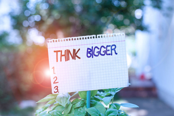Text sign showing Think Bigger. Conceptual photo being able to dream and visualise what you can achieve Plain empty paper attached to a stick and placed in the green leafy plants. - Foto, afbeelding