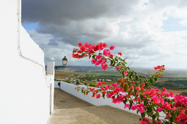 Flores rojas en Arcos de la Frontera, pueblo blanco de Cádiz. Andalu.
 - Foto, Imagen