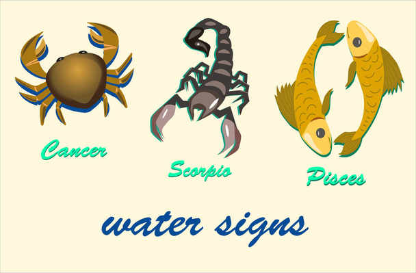 znaki zodiaku wody; rak, skorpion, ryby - Wektor, obraz