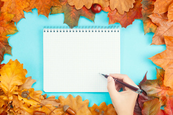 Colorful autumn leaves with note book and pen in hand on blue background - Foto, Imagen