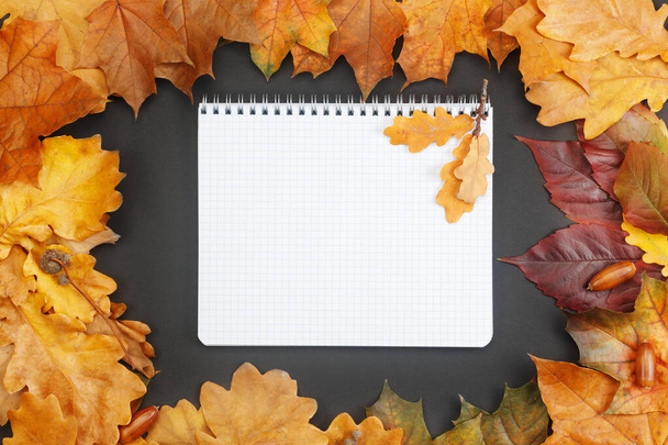 Frame composed of colorful autumn leaves with notebook on black background - Foto, afbeelding