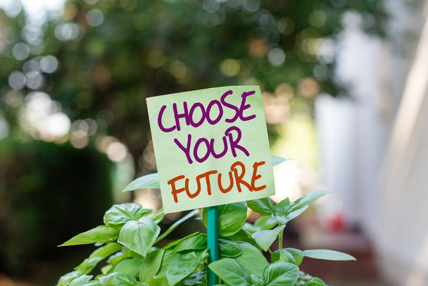Handwriting text writing Choose Your Future. Concept meaning Choices make today will define the outcome of tomorrow Plain empty paper attached to a stick and placed in the green leafy plants. - Photo, Image