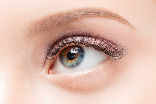 Macro heterocromia ojo de mujer con hermosos tonos rojos marrones moda de maquillaje ahumado. Procedimiento de extensiones de pestañas Concepto
 - Foto, Imagen