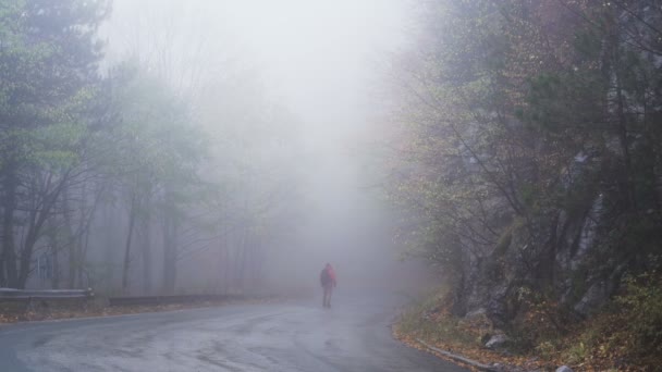 Zagubiony turysta szukający właściwej drogi w głębokiej mgle w deszczowy jesienny dzień - Materiał filmowy, wideo