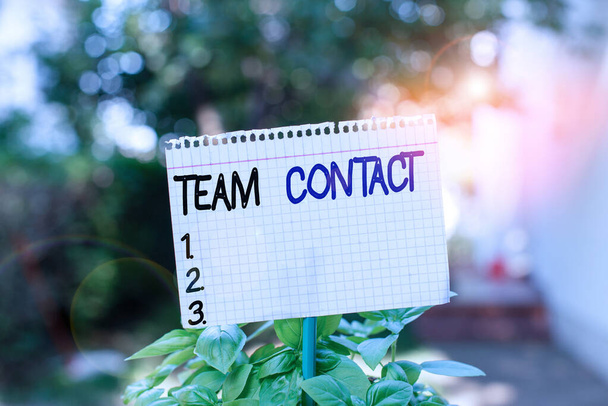 Tekstbord met Team Contact. Conceptuele foto De interactie van de individuen in een team of groep Plain leeg papier bevestigd aan een stok en geplaatst in de groene bladplanten. - Foto, afbeelding