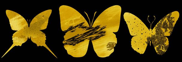 Set con mariposas acuarela con estampados
 - Foto, Imagen