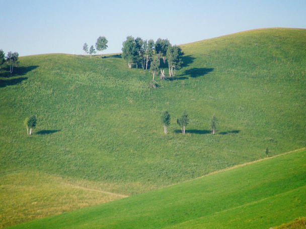 Colline verte avec des arbres et fond bleu ciel
 - Photo, image