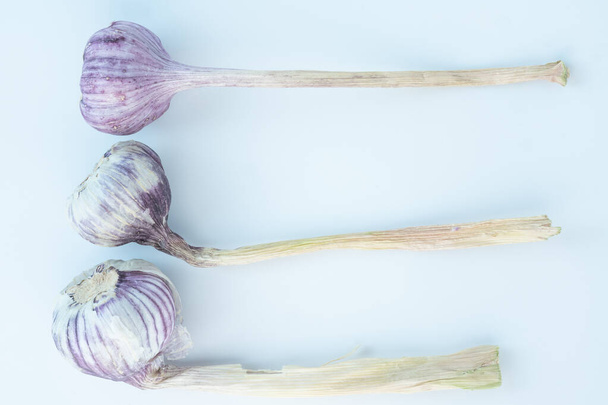 Large garlic on a white background - Foto, Imagem