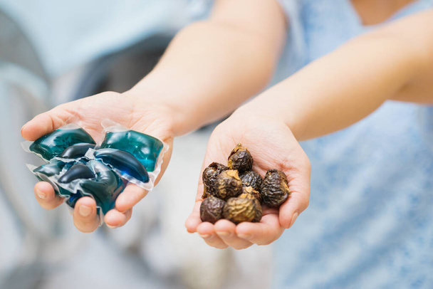 Hands holding laundry pods and washing nuts - Photo, image