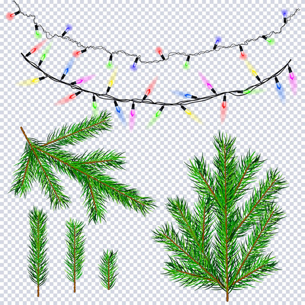 Pine fir branches, light bulb garland set - Vetor, Imagem