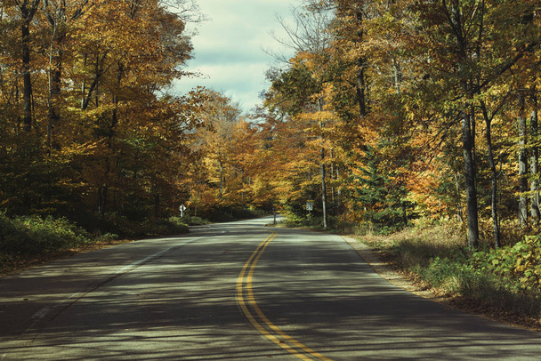 Empty curvy road in Door County, Wisconsin. Fall season with colorful maple trees - 写真・画像