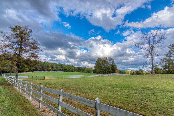 белый забор в поле с голыми деревьями осенью
 - Фото, изображение
