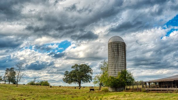 Schuur en silo in een veld met bomen op het platteland van North Carolina - Foto, afbeelding