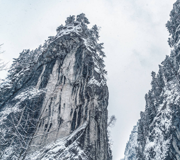 Величественные горы зимой с белыми снежными деревьями. Чудесный зимний пейзаж. Удивительный вид на заснеженные скальные горы. Путешествия
 - Фото, изображение
