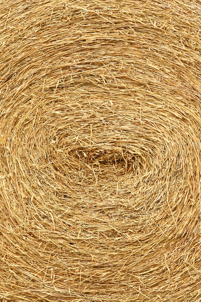 Dry straw roll - Photo, Image