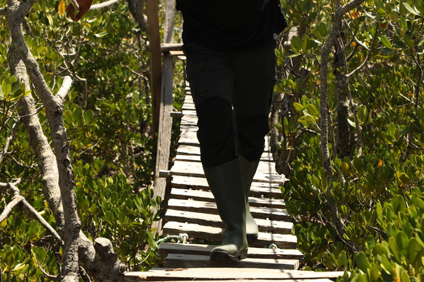 Männchen läuft auf Holzbrücke - Foto, Bild
