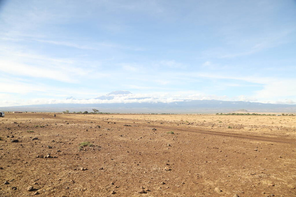Υφαντική λάσπη στην αγροτική περιοχή - Φωτογραφία, εικόνα