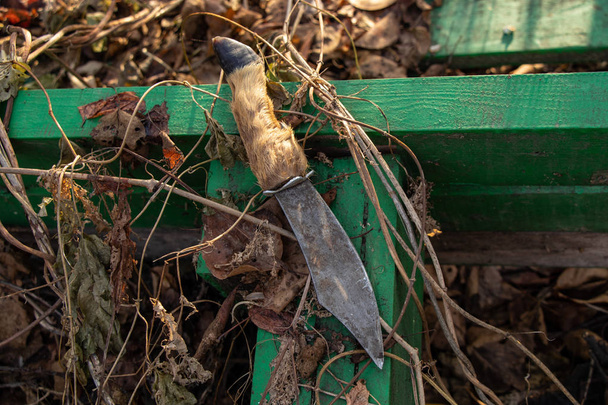 Cuchillo de caza con mango de pezuña en la naturaleza
 - Foto, imagen