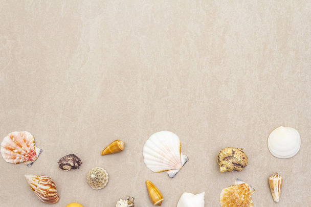 Seashells fundo de verão. Lotes de conchas diferentes empilhados juntos, vista superior, espaço de cópia, quadro
. - Foto, Imagem