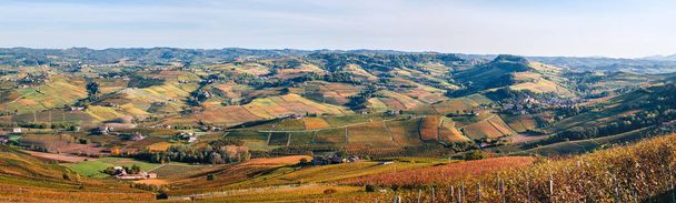Langhe vineyards hills panoramic autumn landscape, Dolcetto,Nebbiolo, Barbera, Barolo red wine. Tourism, travel destination. Viticulture Piedmont, Italy, Unesco heritage - Photo, Image