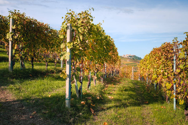 Langhe vineyards hills, La Morra village. Autumn season. Wine turism, european travel destination. Viticulture, Langhe, Piedmont, Italy, Unesco heritage. Barolo, Nebbiolo, Dolcetto, Barcaresco red wine.  - Foto, imagen